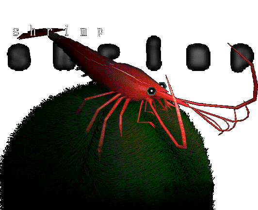 3d render of a cherry shrimp on a moss ball. Text reads: Shrimp.